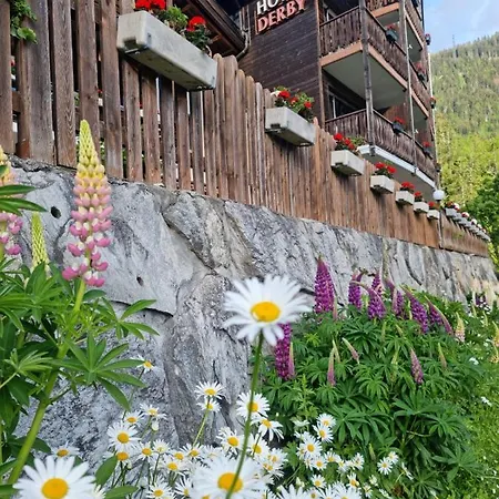 Hotel Derby