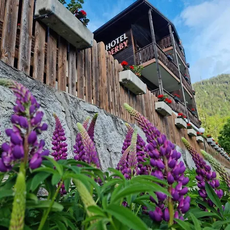 Hotel Derby 3*