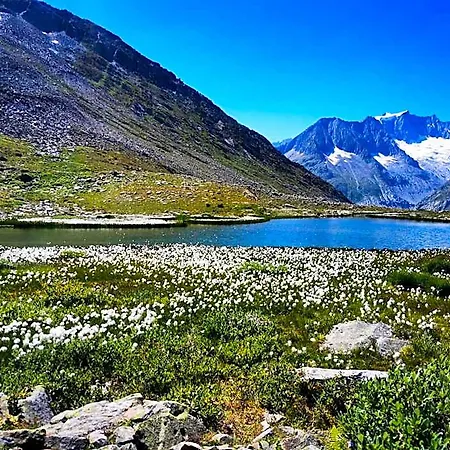 Derby Fiesch