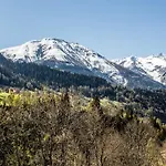 Berghotel Derby Hotel Fiesch