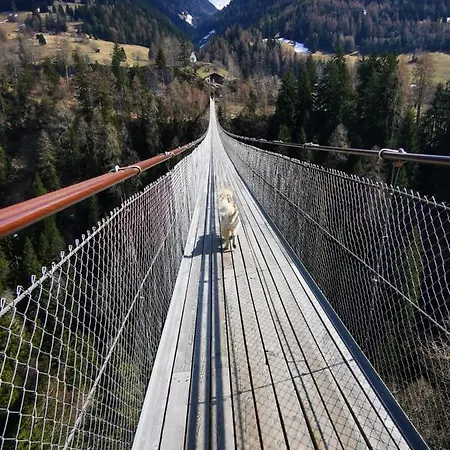 Berghotel Derby Hotel Fiesch
